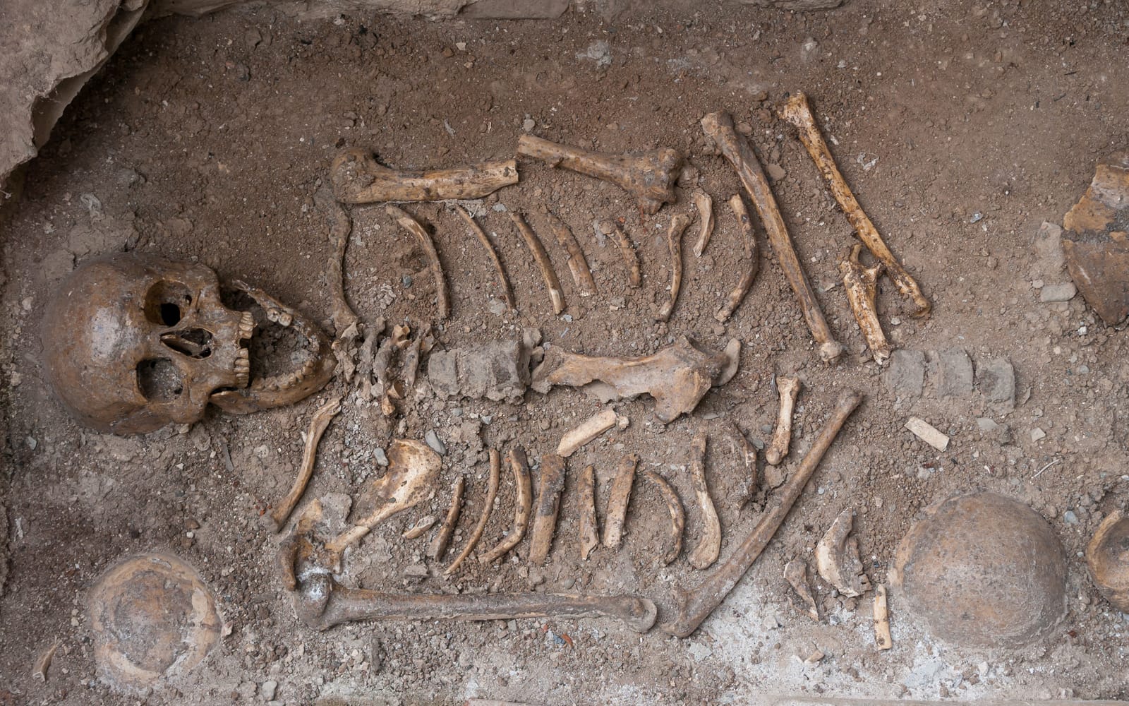 Шемаха, Габала и Шеки 9